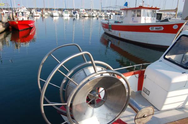 T3 Vue Mer Et Plage, Avec Wifi Et Parking Saint-Pierre-la-Mer  Exterior foto